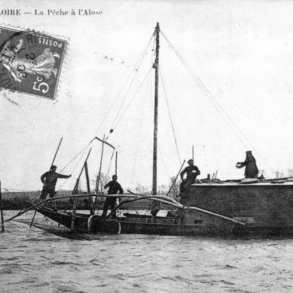 1908 toue gd -p Pénot